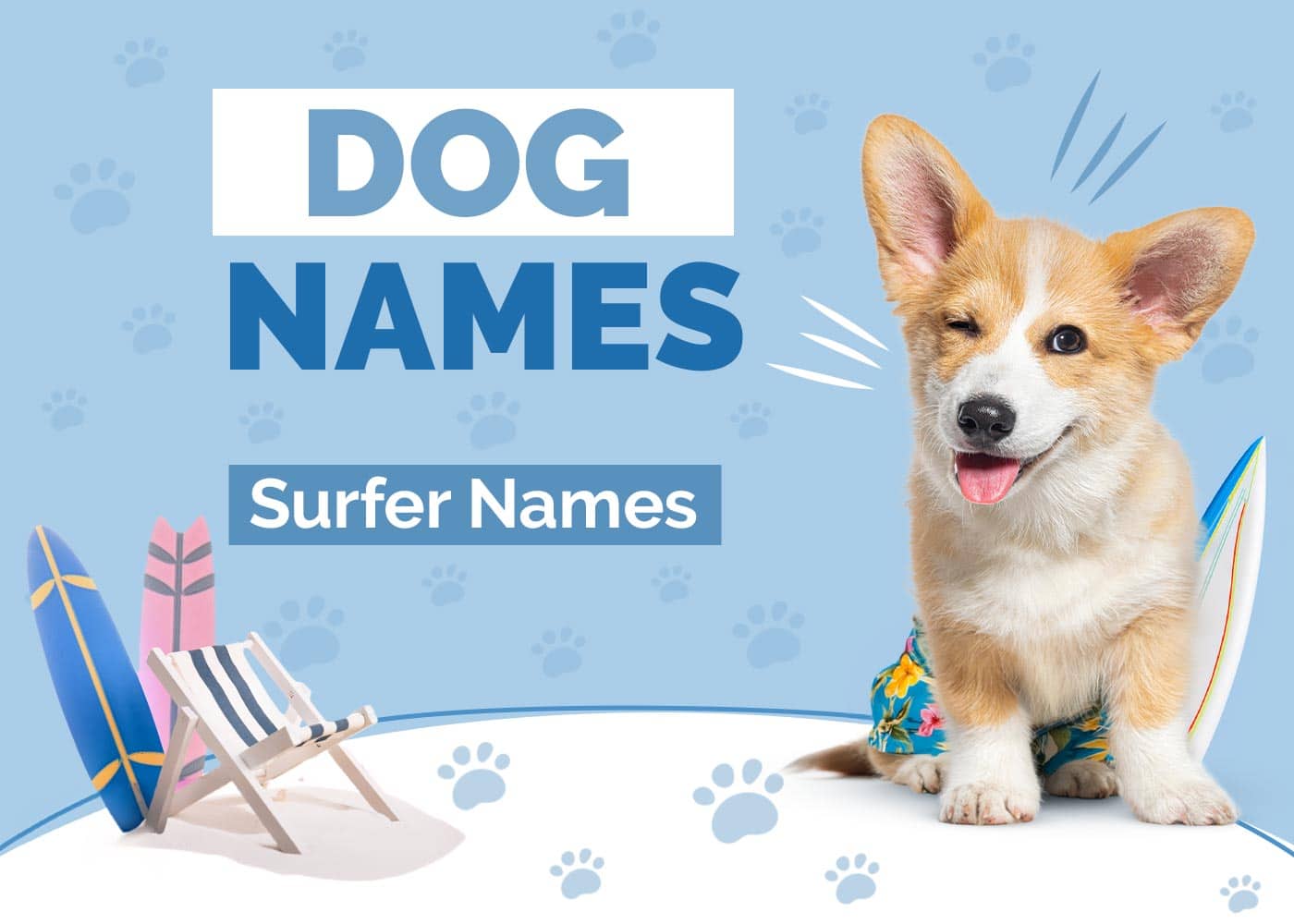 150+ Surfer Names for Dogs That Ride the Waves