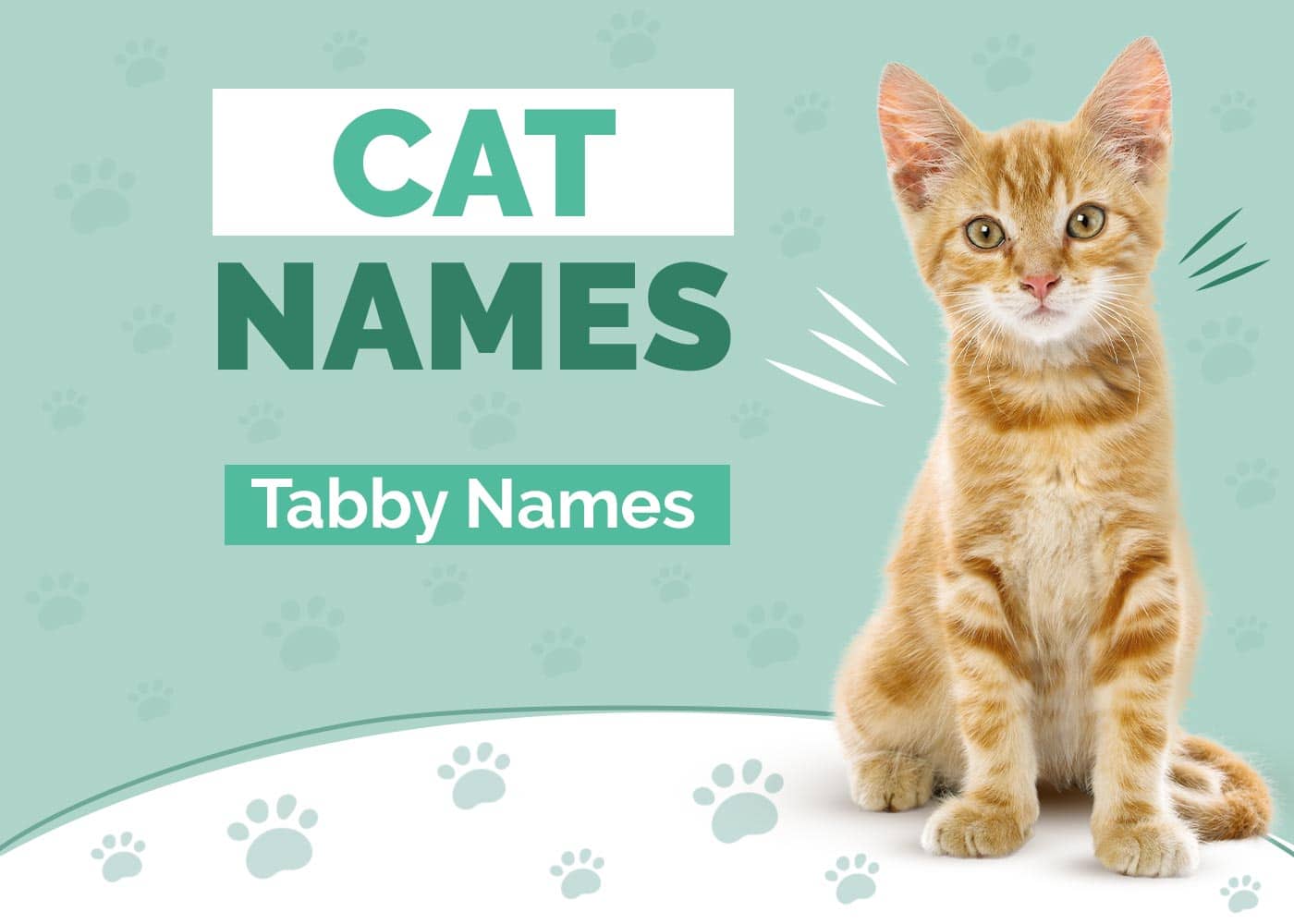 275+ Tabby Cat Names: Our Top Picks for Your Adorable & Playful Cat
