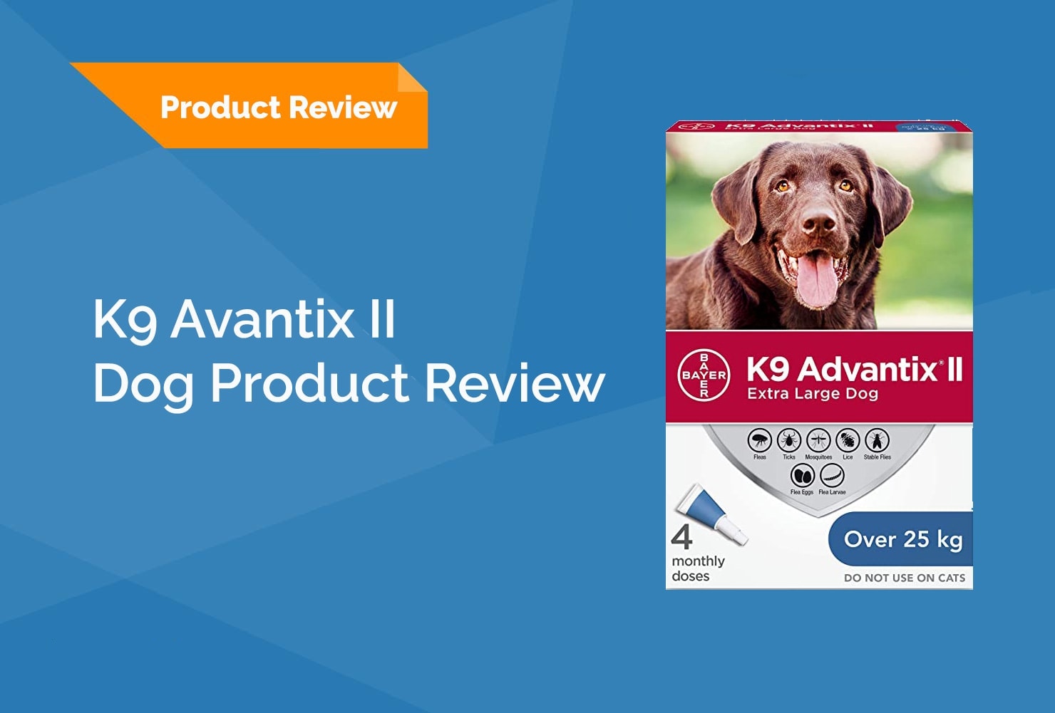 K9 Advantix II Review 2026: Pros, Cons & Verdict