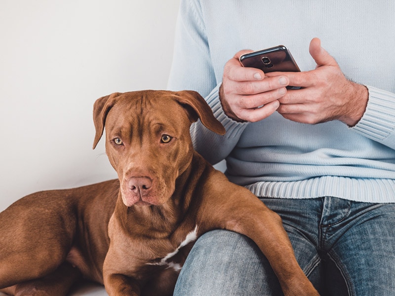 man using his phone with his dog beside him