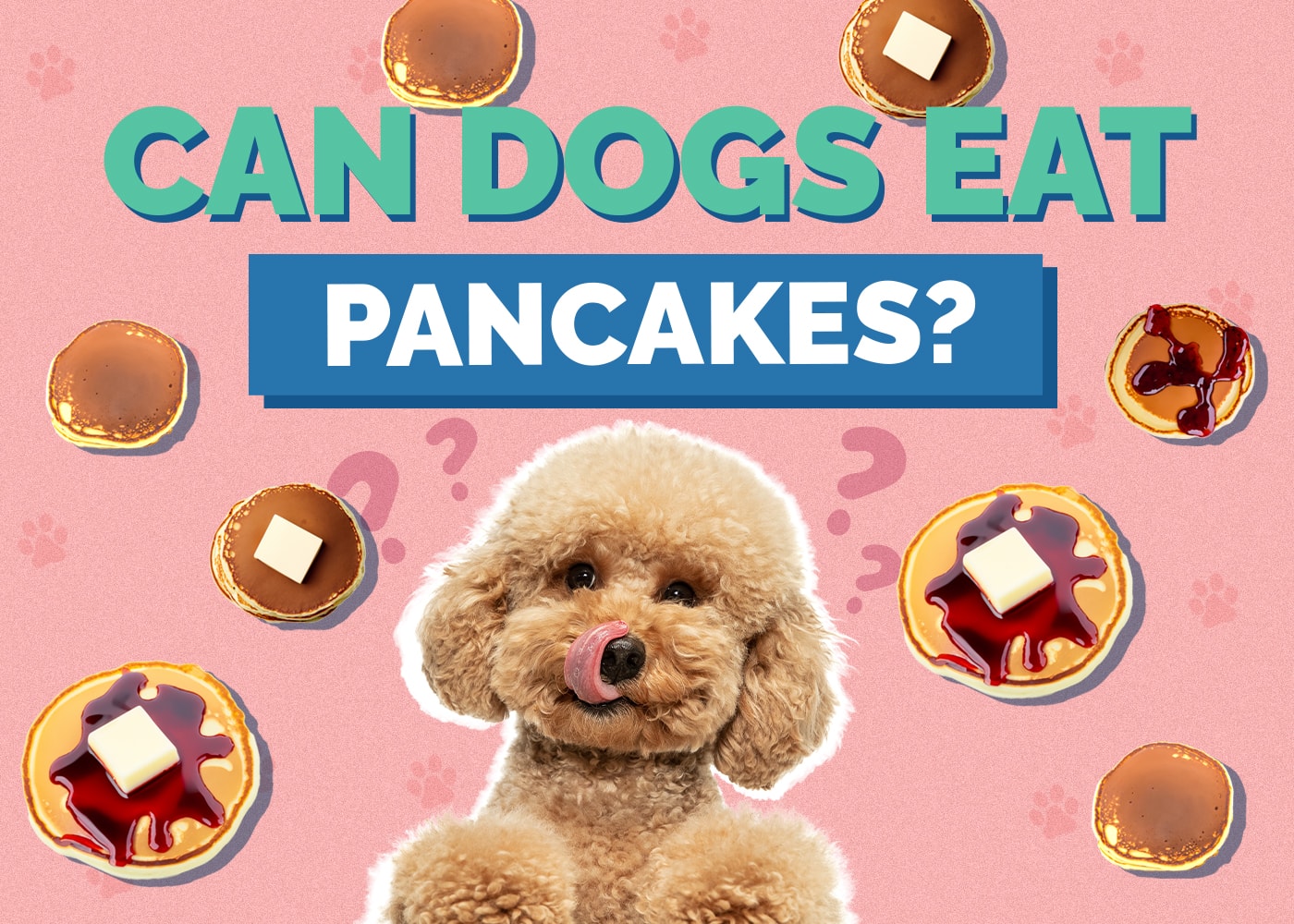 Can Dogs Eat Pancakes? Vet-Reviewed Facts, Considerations & Alternatives