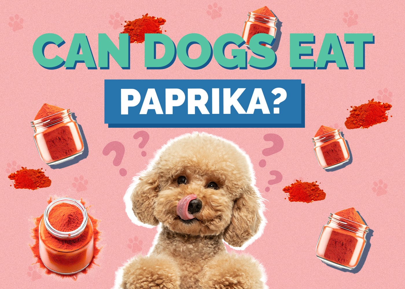 Can Dogs Eat Paprika? Vet-Verified Nutrition Facts & Safety Guide