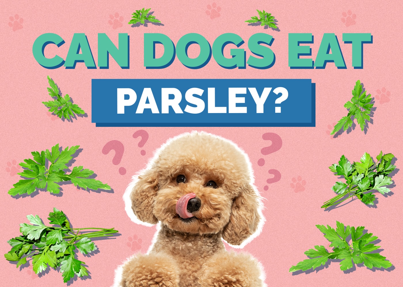 Can Dogs Eat Parsley? Vet-Approved Nutrition Facts & Safety Guide