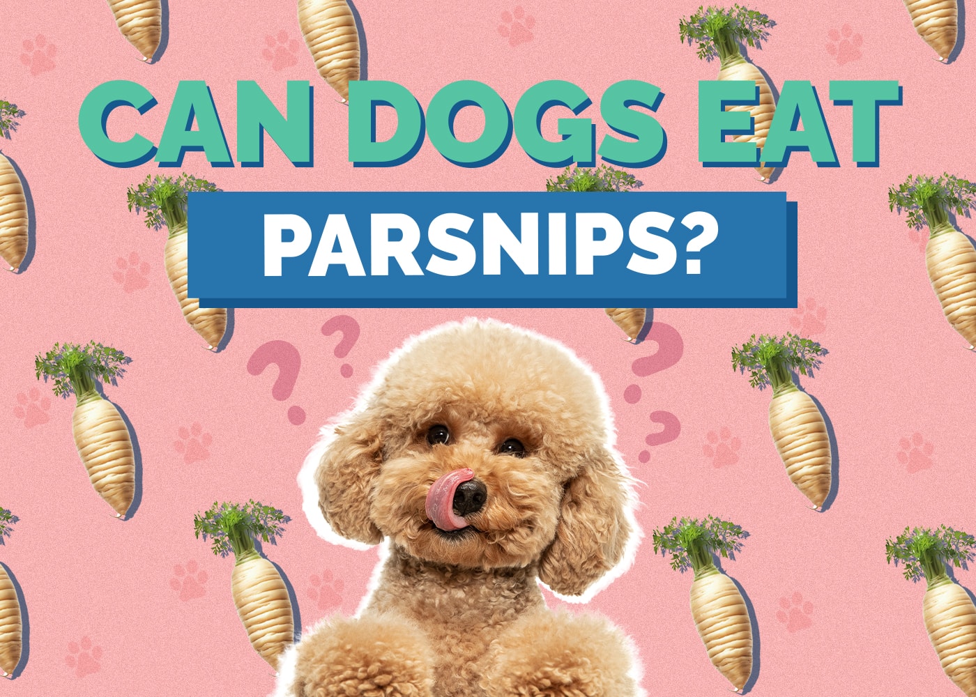 Can Dogs Eat Parsnips? Vet-Reviewed Benefits & Risks