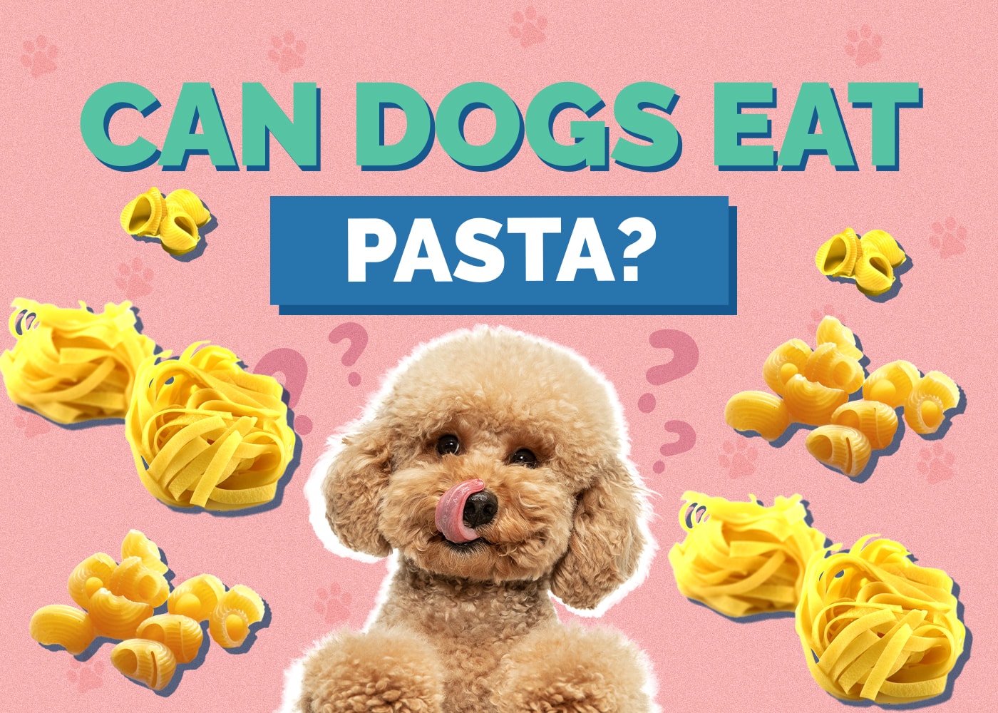 Can Dogs Eat Pasta? Vet-Approved Nutrition Facts & Safety Guide