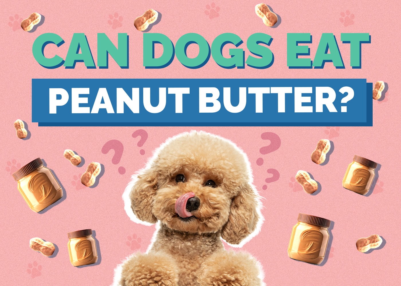 Can Dogs Eat Peanut Butter? Vet-Verified Facts & FAQ