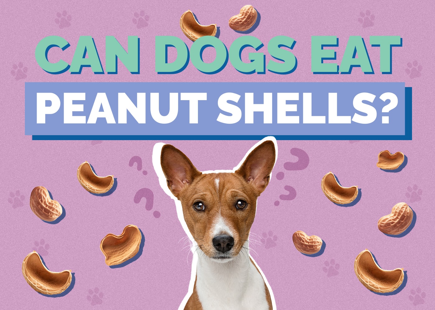 Can Dogs Eat Peanut Shells? Vet-Reviewed Facts to Know!