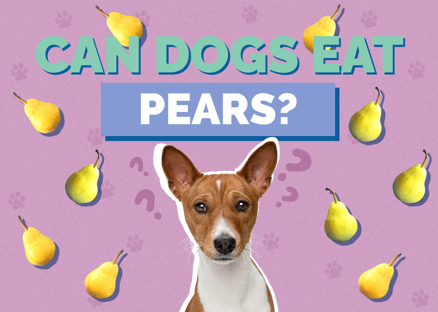 Can Dogs Eat Pears? Are Pears Safe for Dogs?