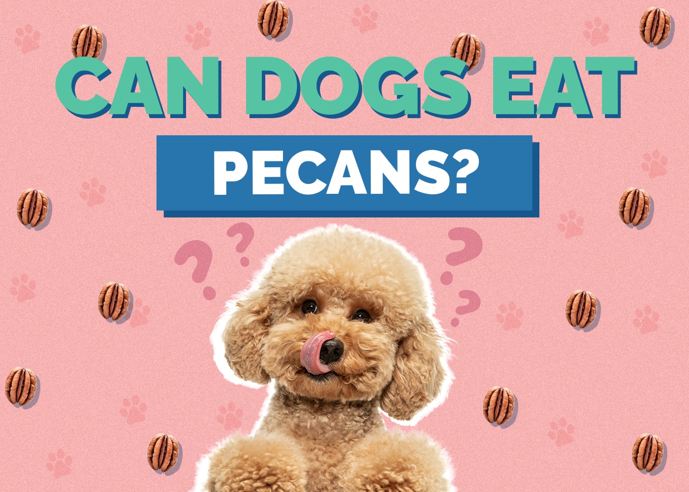 Can Dogs Eat Pecans? Vet-Approved Facts, Risks & Safety Guide