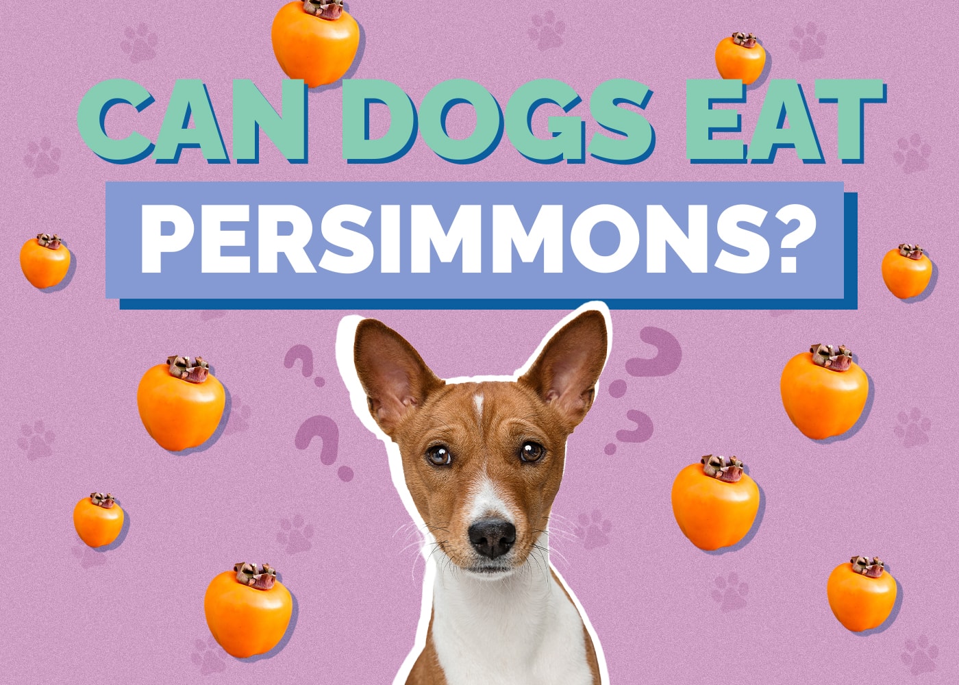 Can Dogs Eat Persimmons? Vet-Reviewed Nutrition Facts & Safety Guide