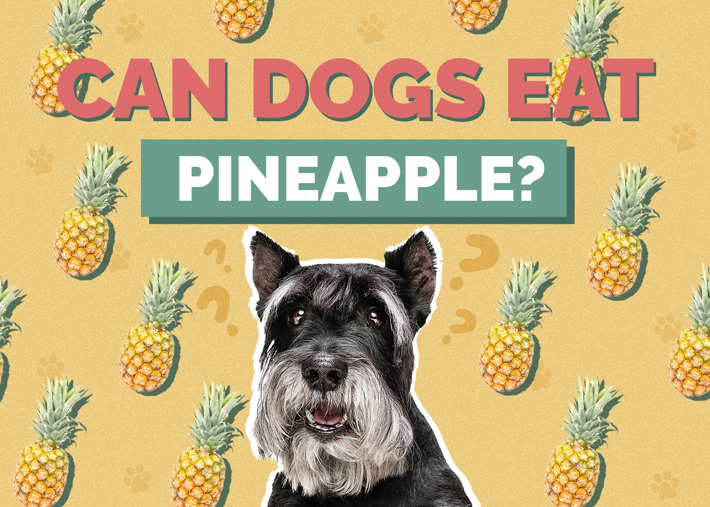 Can Dogs Eat Pineapple? Vet-Approved Feeding Tips
