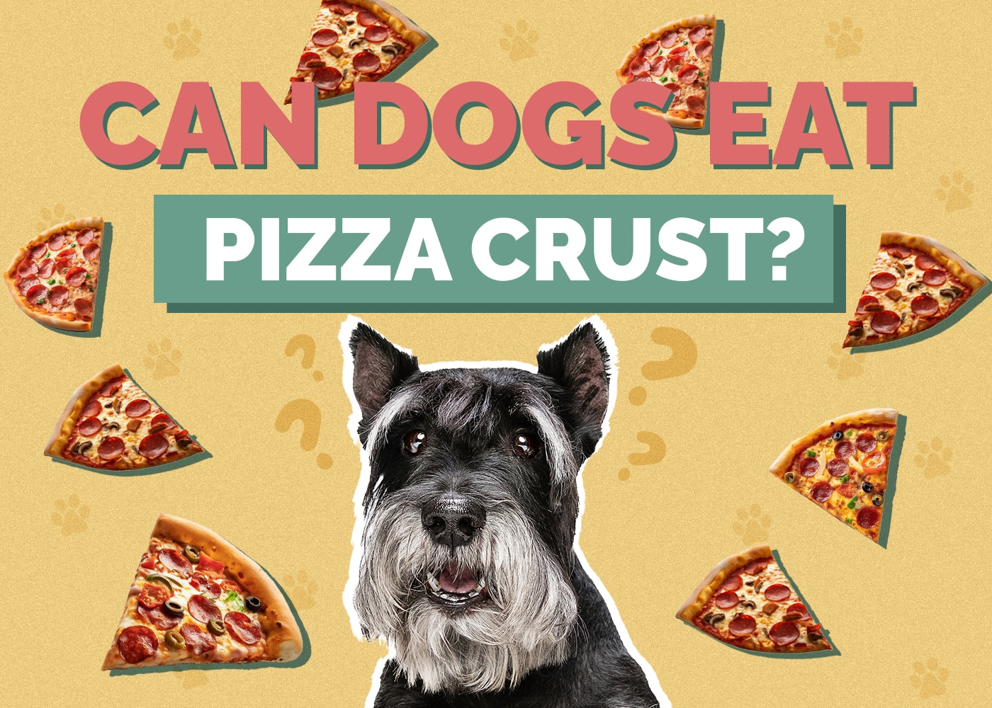 Can Dogs Eat Pizza Crust? Nutrition Facts & FAQ
