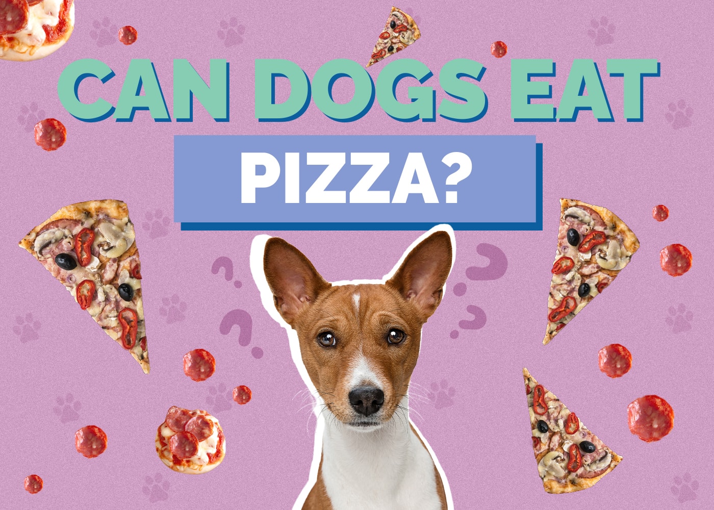 Can Dogs Eat Pizza? Vet-Reviewed Nutrition Facts & FAQ
