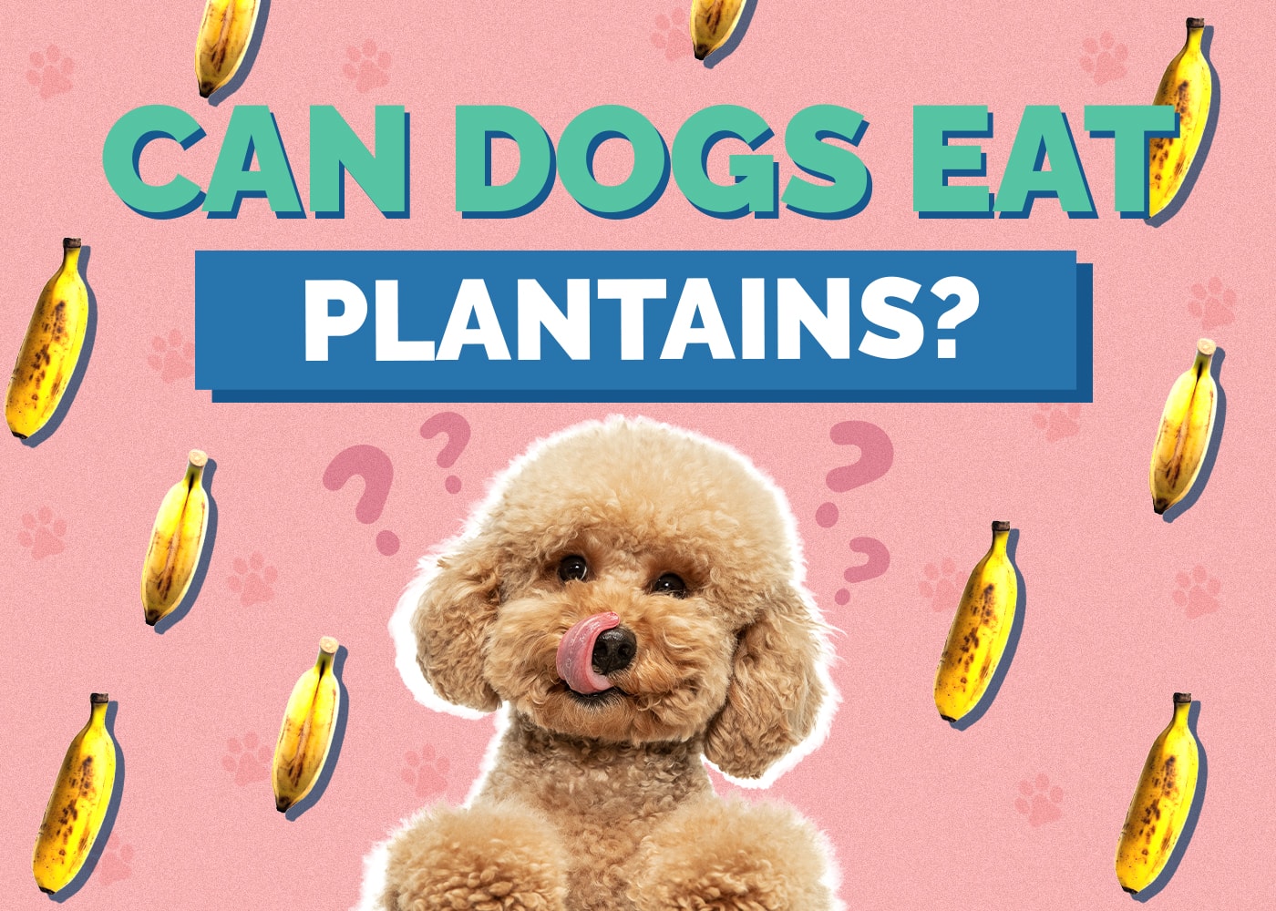 Can Dogs Eat Plantains? Vet-Approved Health Facts