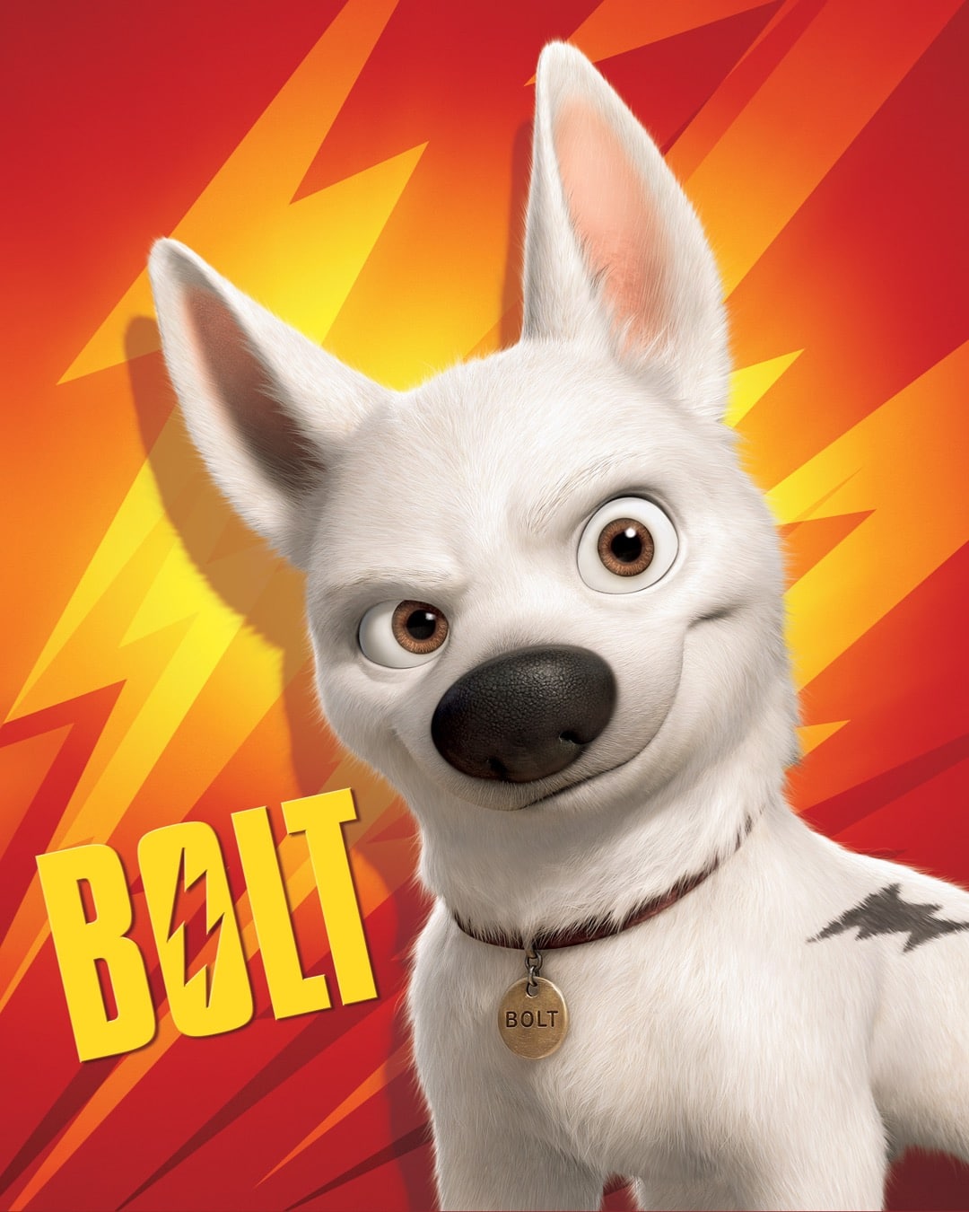 What Dog Breed is Bolt from the Movie? About Disney's White Shepherd
