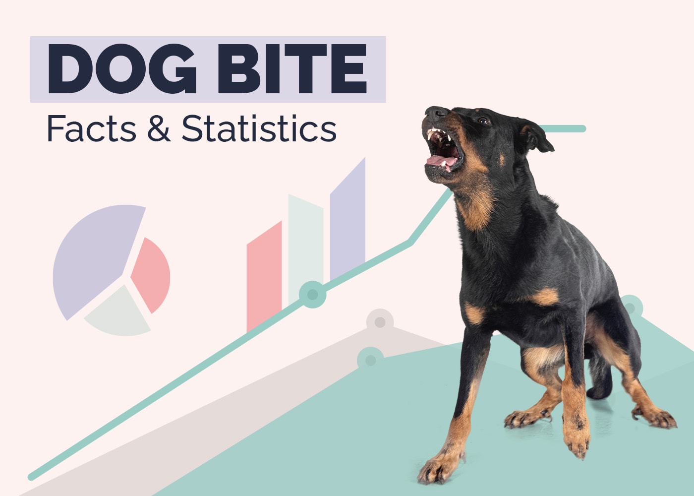 20 Surprising Dog Bite Statistics By Breed (2026 Update)