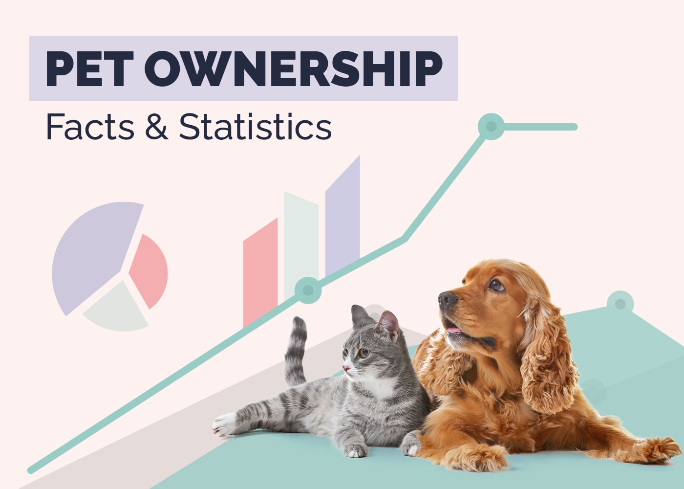 19 Pet Ownership Statistics in 2026: US Facts & Figures