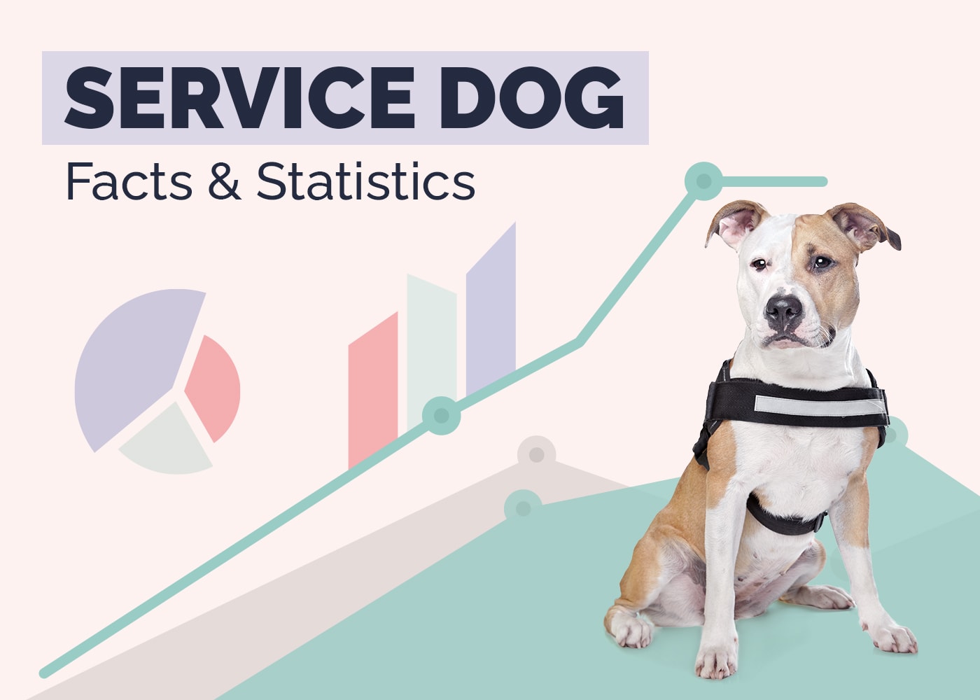 10 Interesting Service Dog Statistics (Updated in 2026)