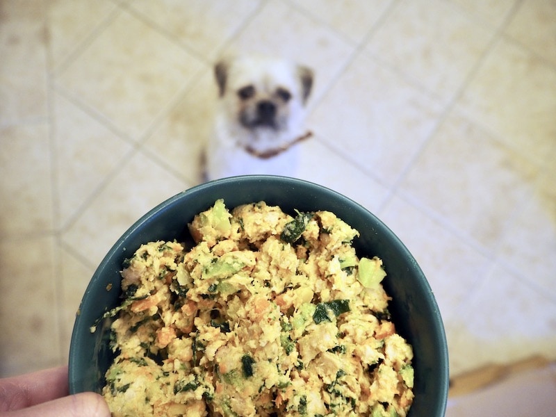 10 Best Human-Grade Dog Food Brands – 2026 Reviews & Top Picks