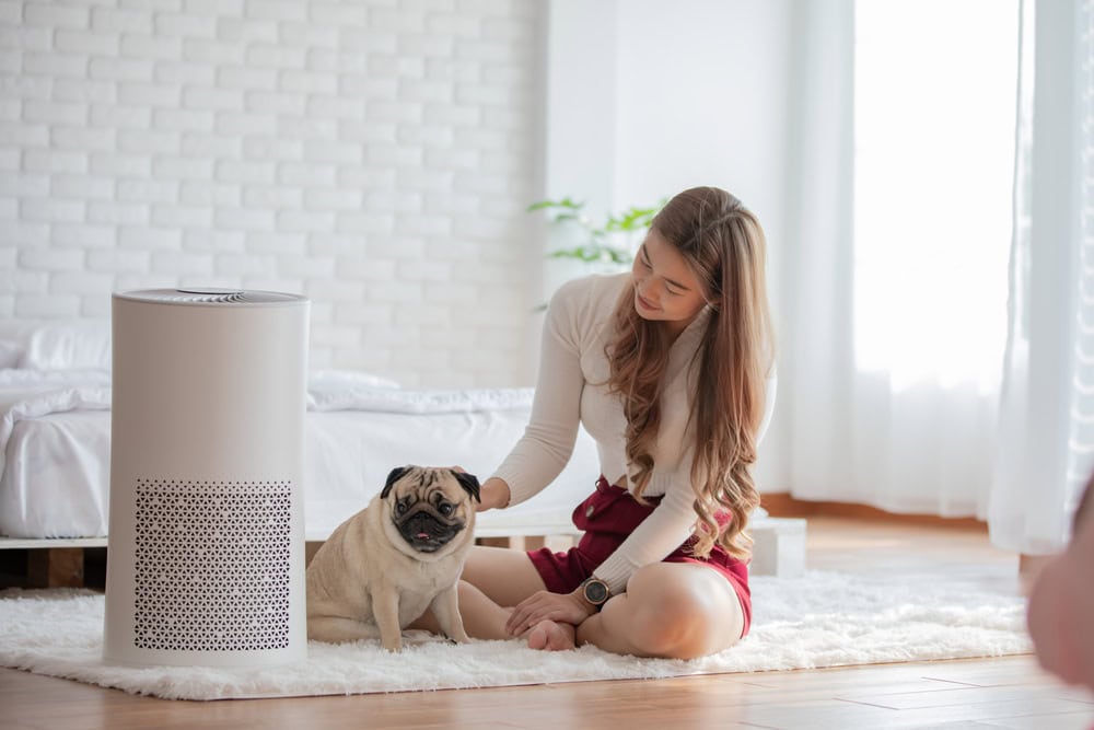 10 Best Air Purifiers for Pets - 2026 Reviews & Top Picks