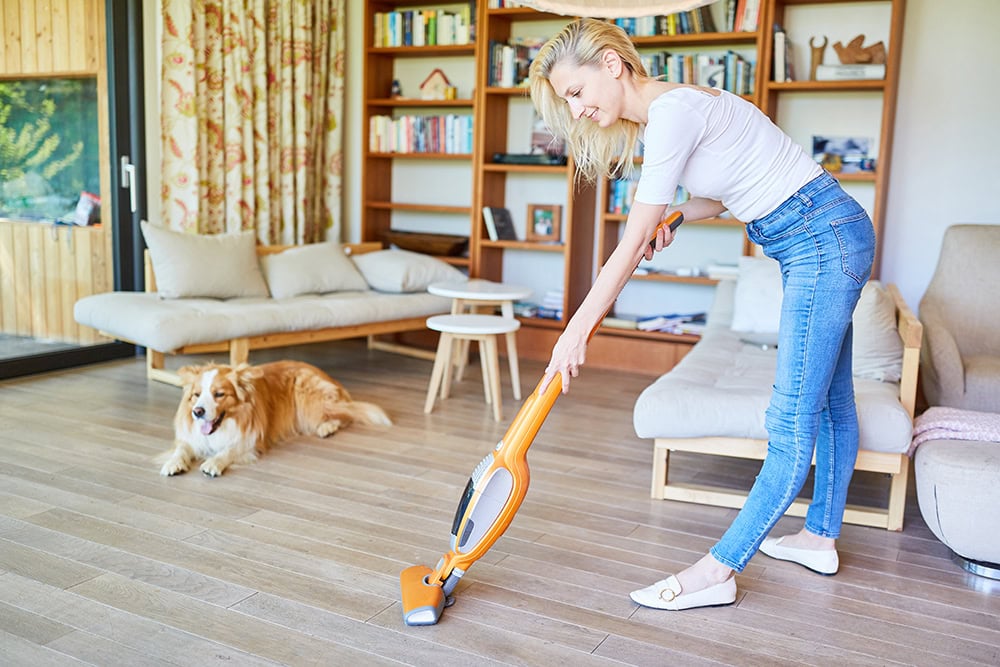 7 Best Budget Vacuums for Pet Hair – 2026 Reviews & Top Picks