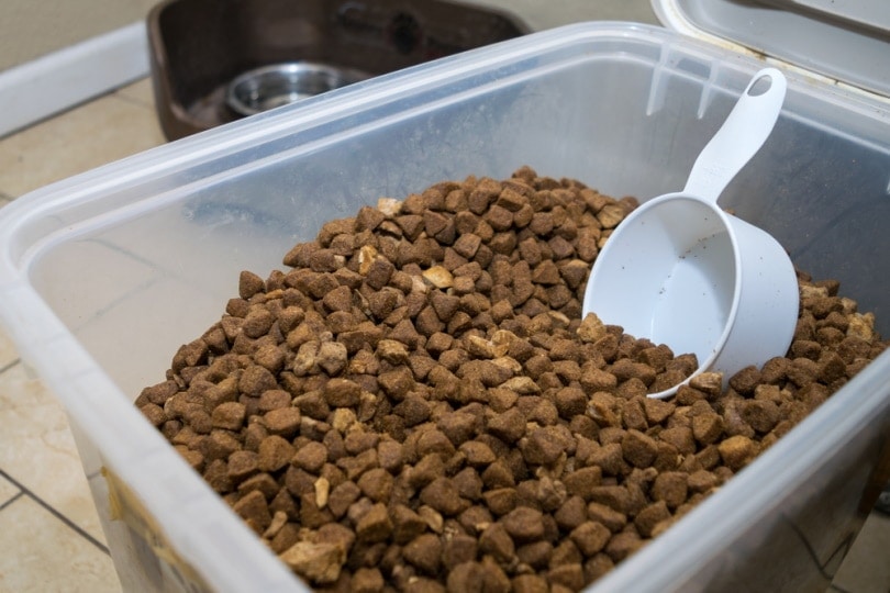 Menadione in Dog Food: Vet-Reviewed Safety Facts