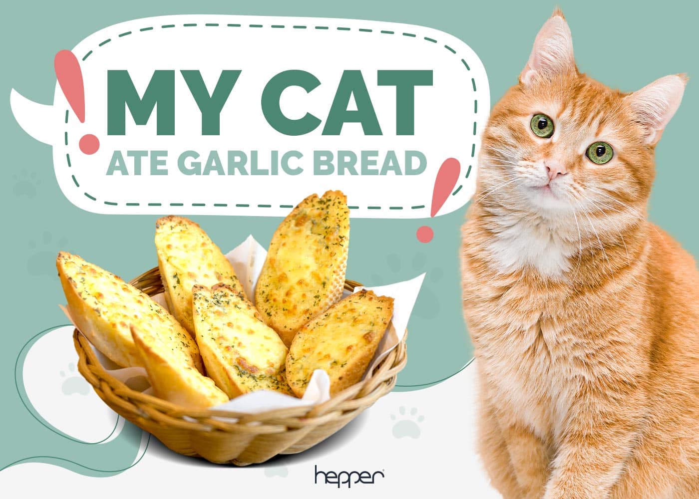 My Cat Ate Garlic Bread, What Should I Do? Our Vet Explains