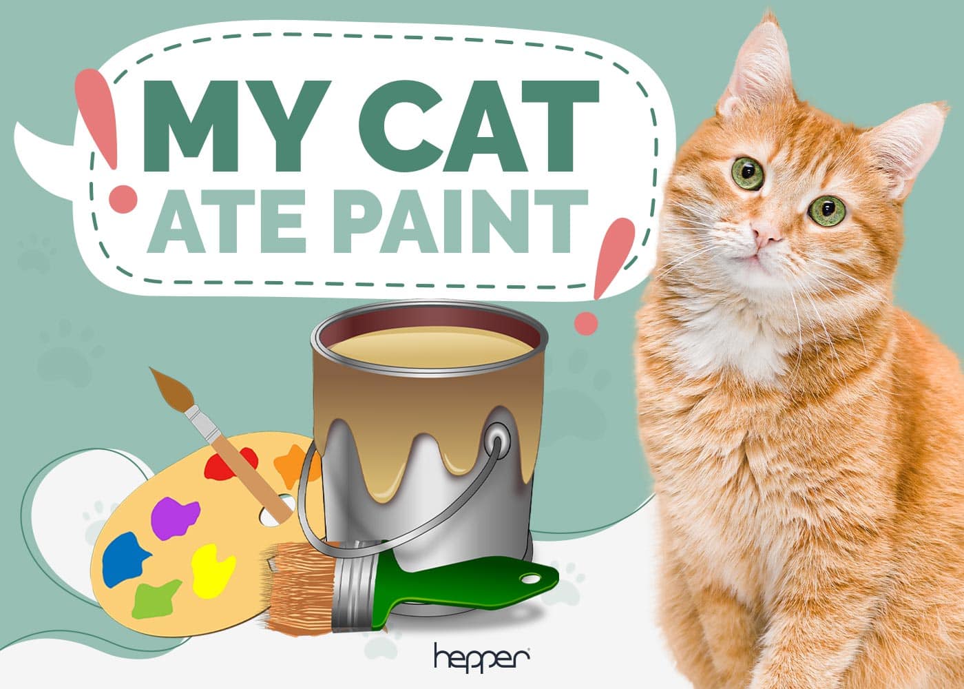 My Cat Ate Paint! Our Vet Explains What to Do