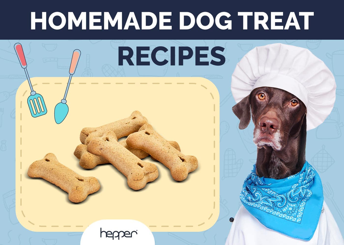 10 Homemade Dog Treat Recipes (Vet-Approved)