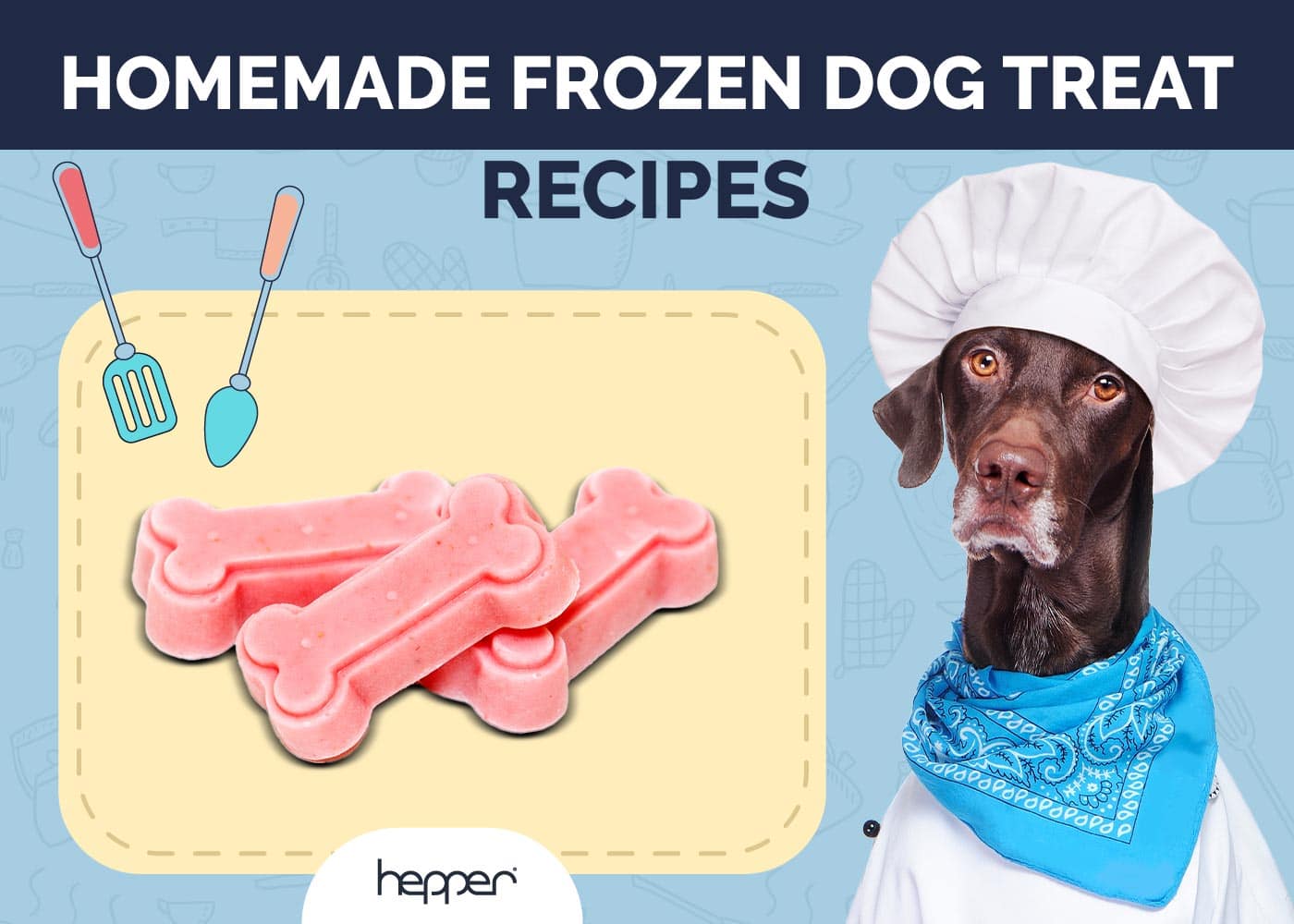 9 Vet-Approved Homemade Frozen Dog Treat Recipes