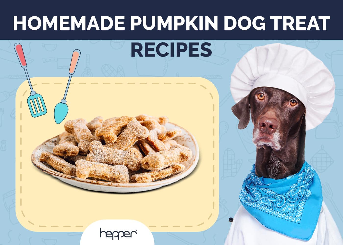 10 Homemade Pumpkin Dog Treat Recipes (Vet-Approved)