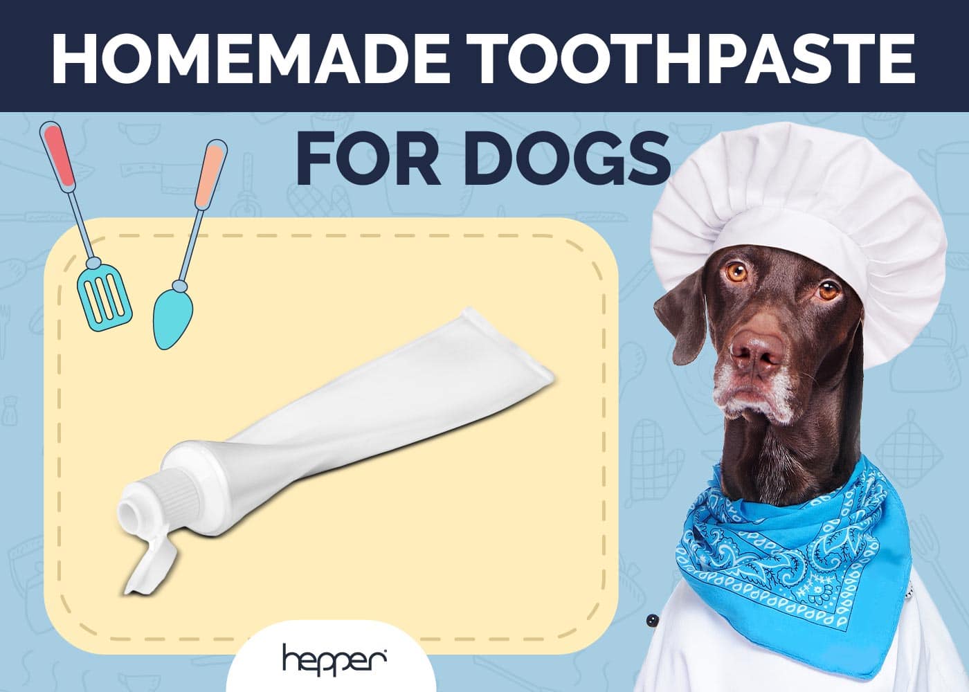Homemade Toothpaste for Dogs: Safety Concerns Explained (Vet Answer)