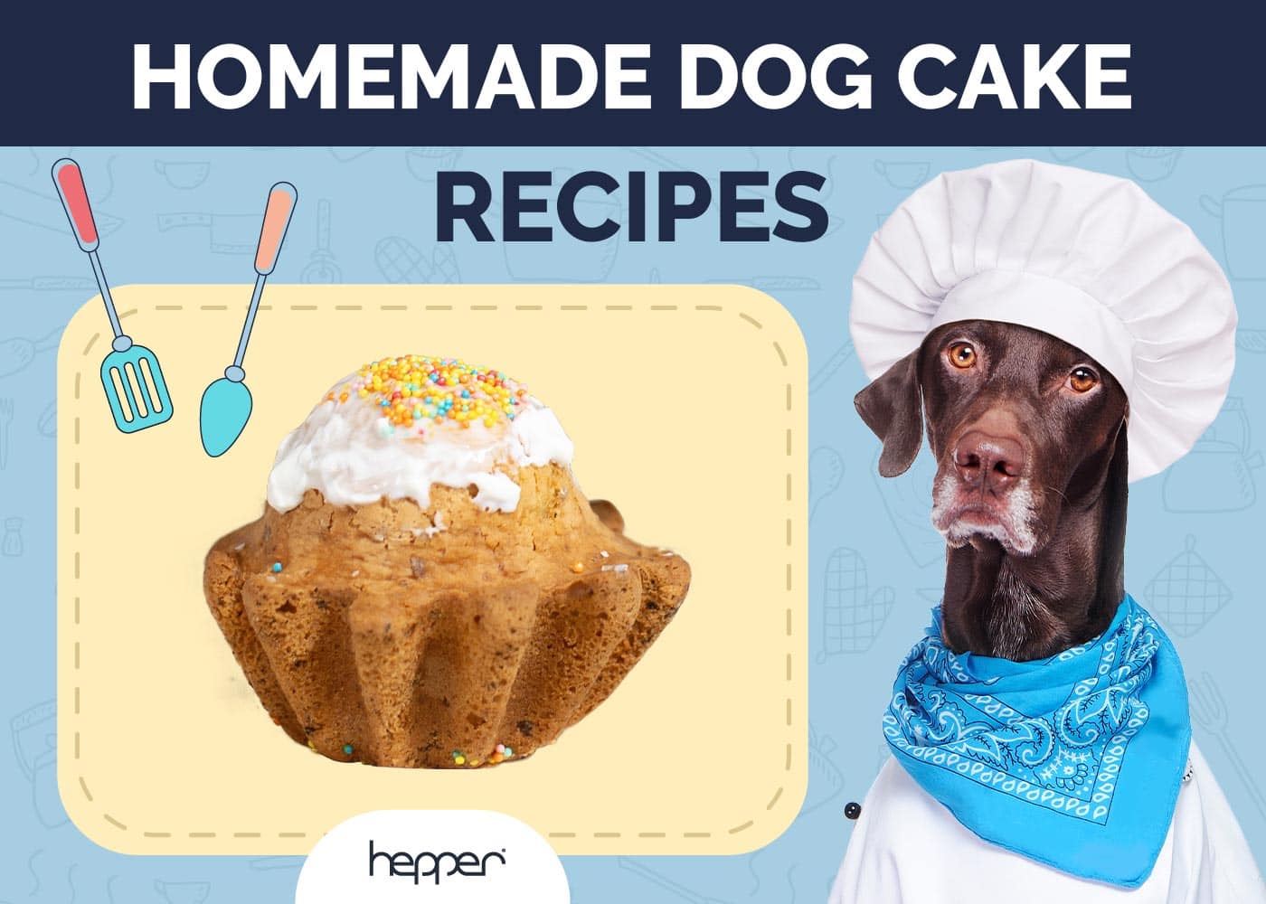 9 Homemade Dog Cake Recipes (Vet-Approved)