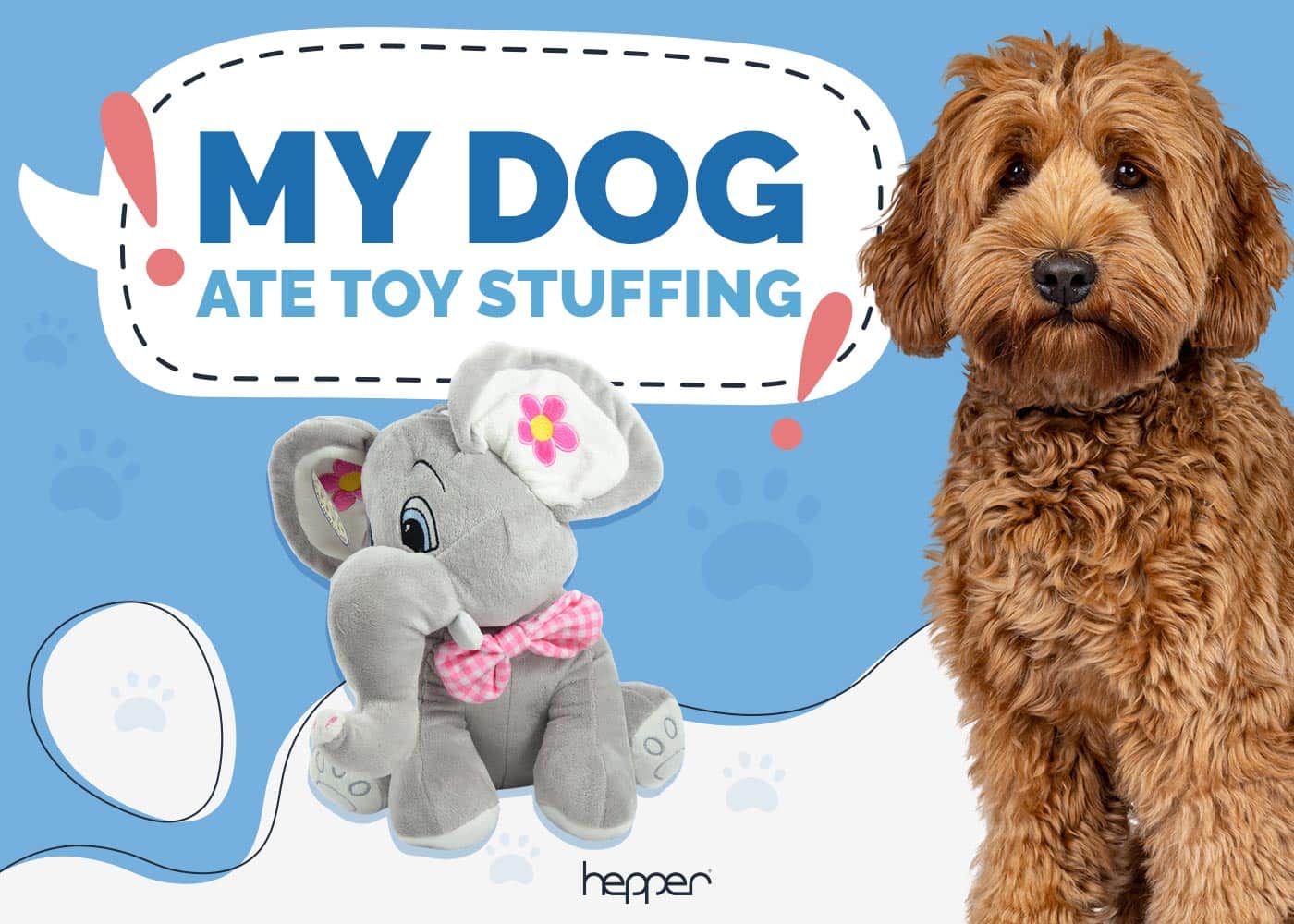 My Dog Ate Toy Stuffing: Here’s What to Do (Vet Answer)