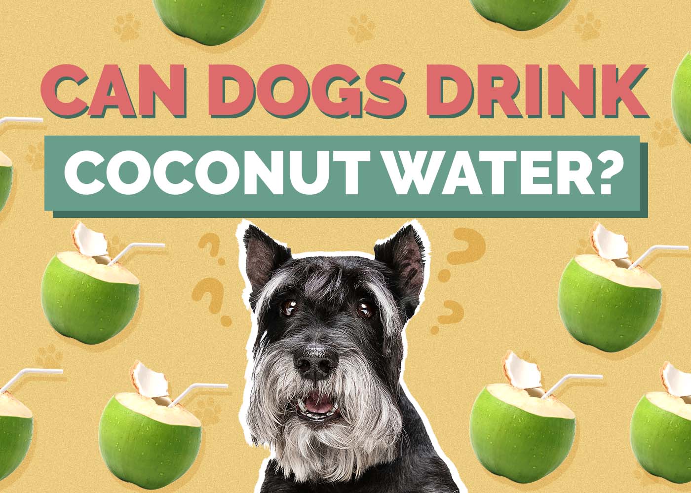 Can Dogs Drink Coconut Water? Vet-Reviewed Nutrition Facts & FAQ