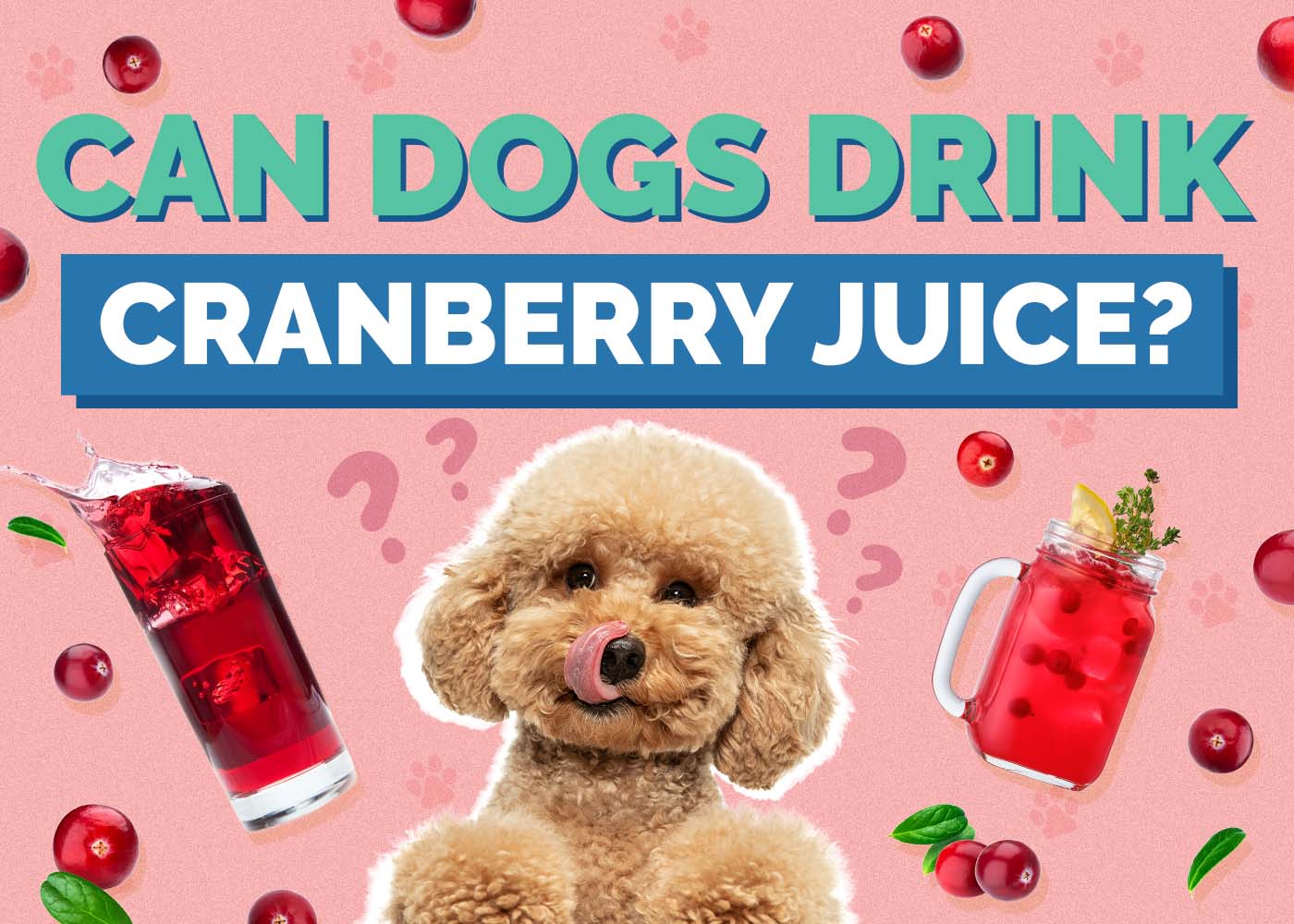 Can Dogs Drink Cranberry Juice? Vet-Reviewed Facts & FAQ