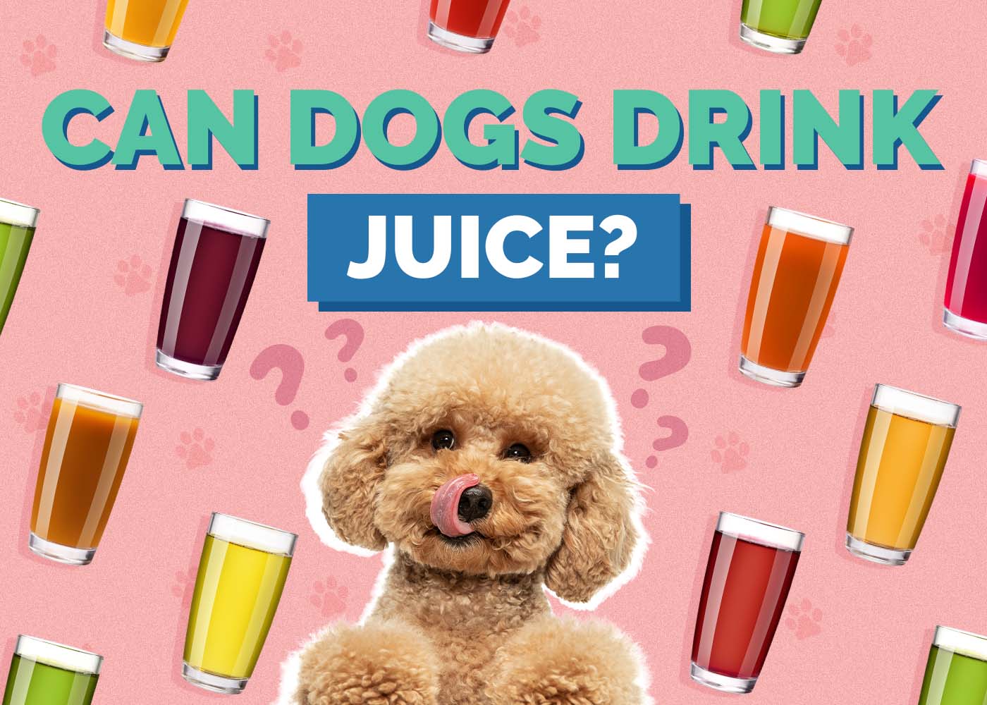 Can Dogs Drink Juice? Vet-Reviewed Nutrition Facts & Potential Risks