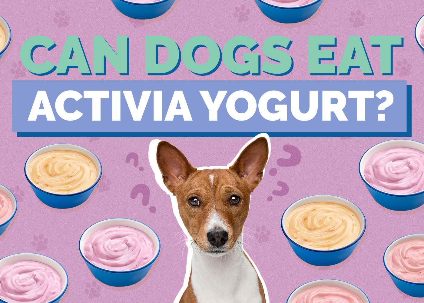 Can Dogs Eat Activia Yogurt? Vet-Reviewed Health Concerns
