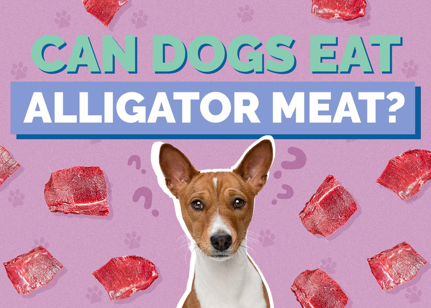 Can Dogs Eat Alligator Meat? Vet-Reviewed Health Concerns