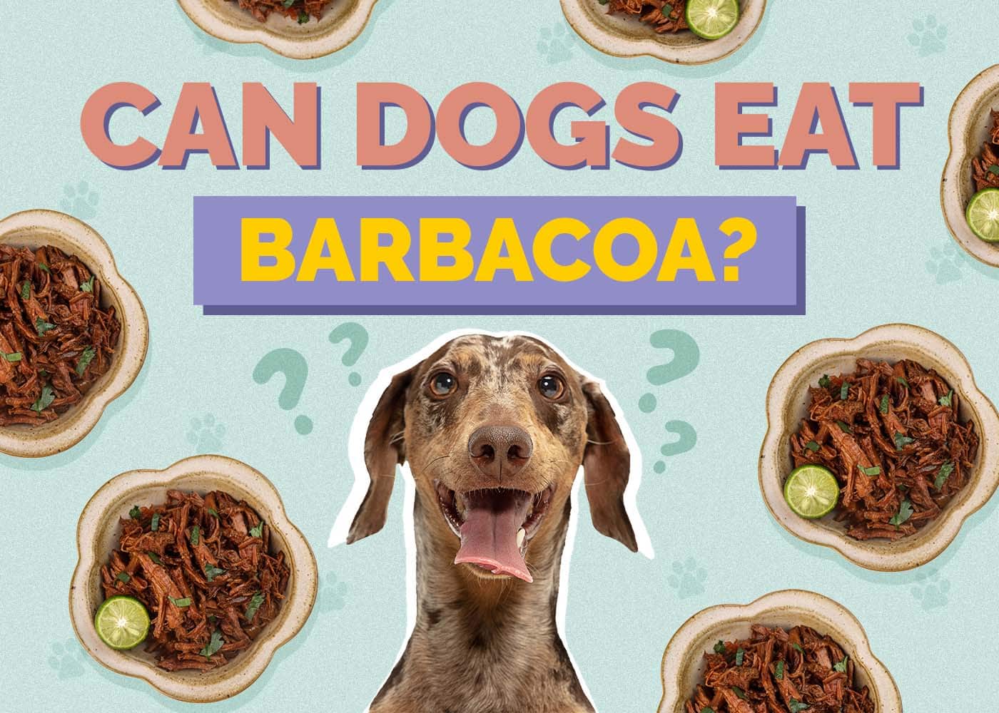 Can Dogs Eat Barbacoa? Vet-Reviewed Health Concerns