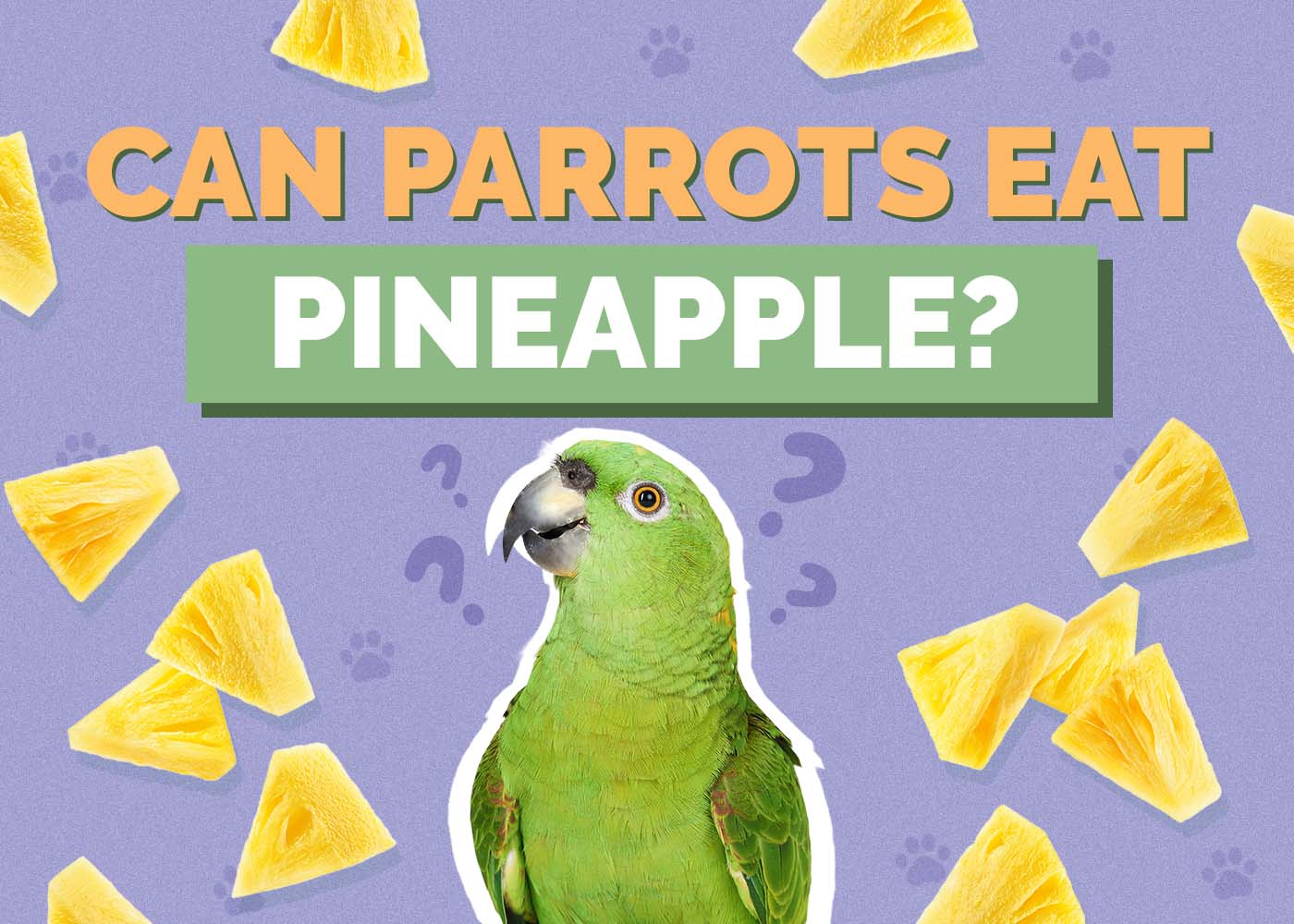Can Parrots Eat Pineapple? Vet-Verified Nutrition Guide