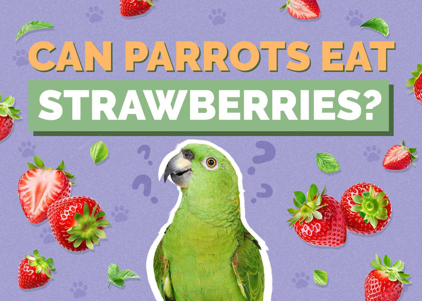Can Parrots Eat Strawberries? Vet-Verified Nutrition Facts & FAQ