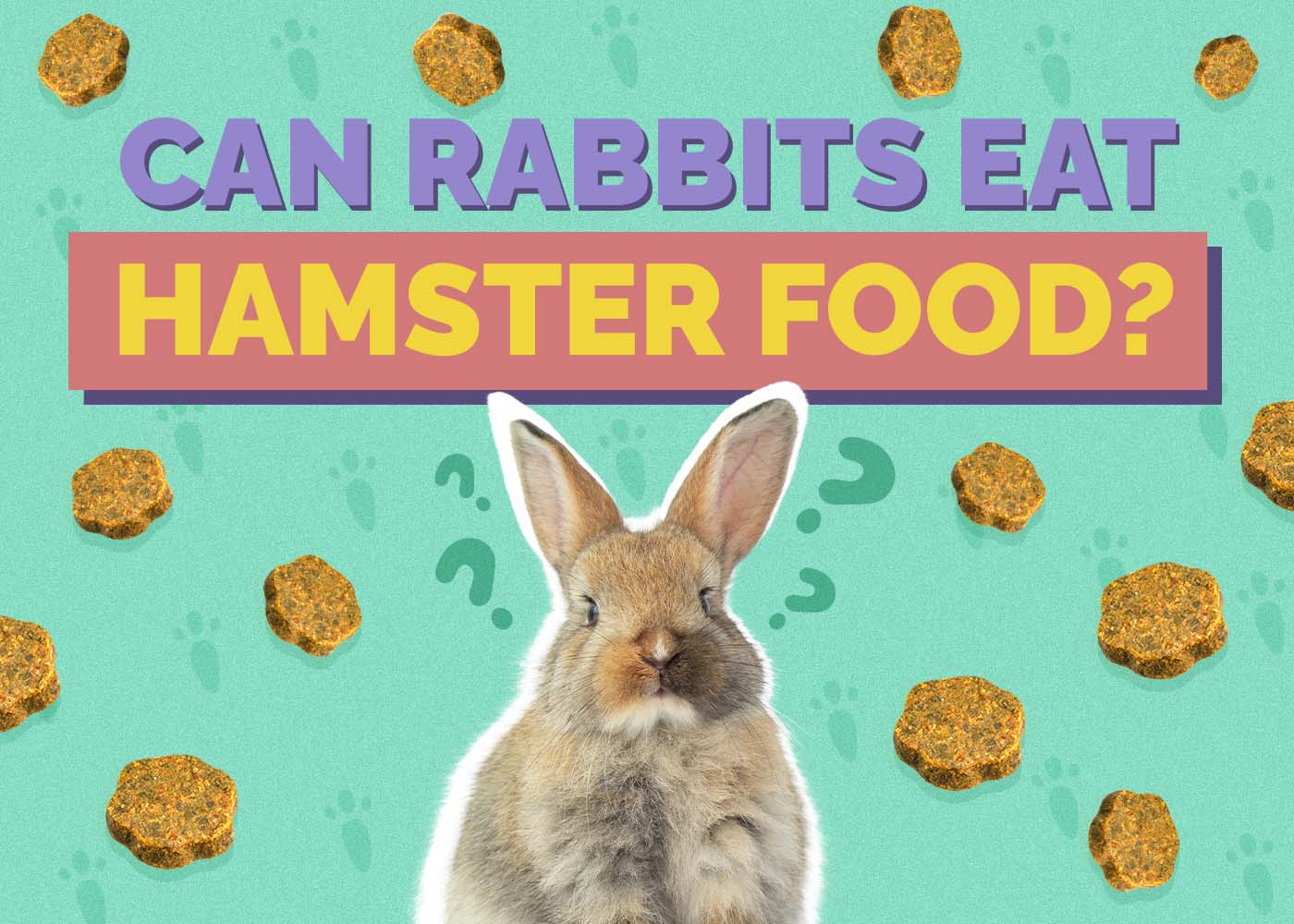 Can Rabbits Eat Hamster Food? Vet-Verified Nutrition Guide