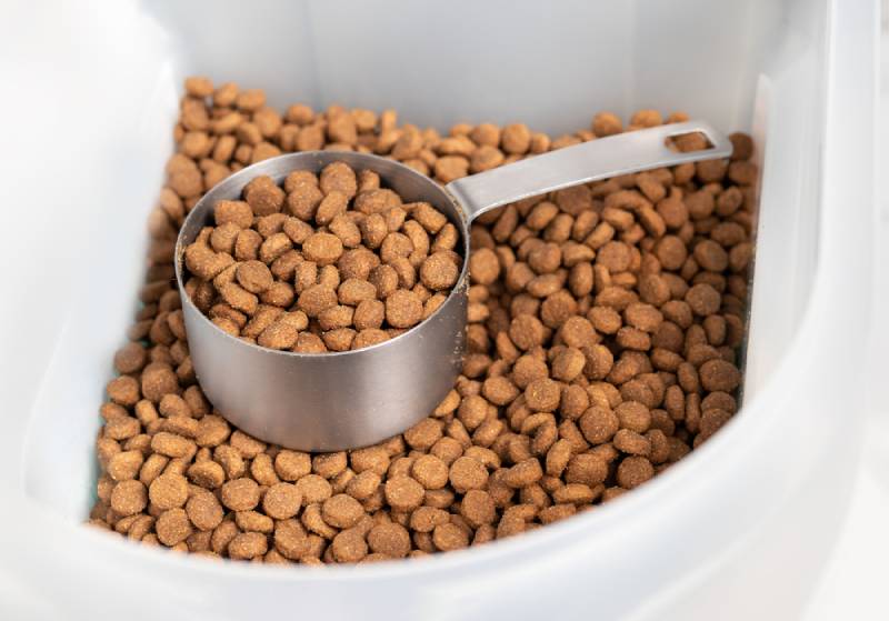 How to Store Dry Dog Food Long-Term: 15 Smart & Effective Tips