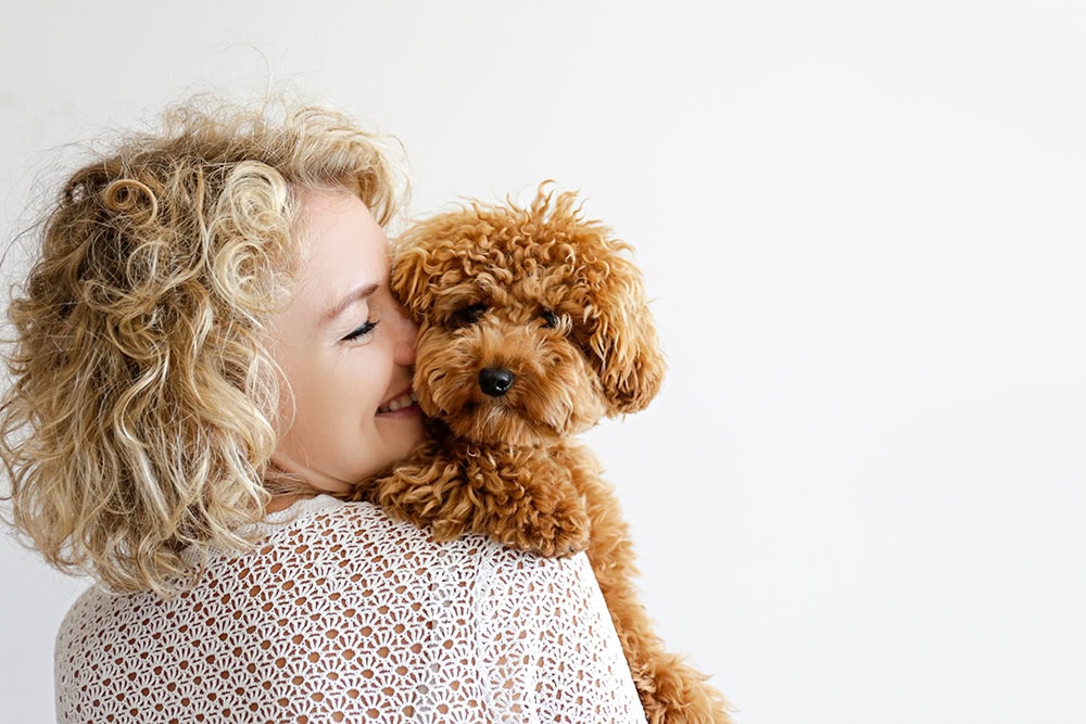 12 Least Smelly Dog Breeds (With Info & Pictures)