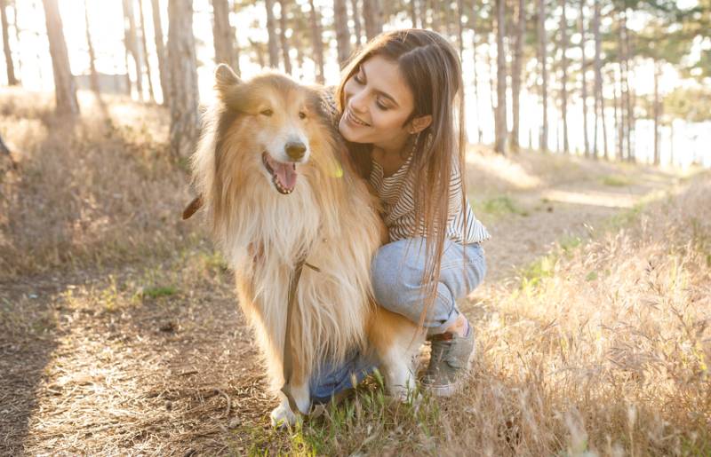 National Purebred Dog Day 2026: When It Is & How It Is Celebrated (Vet-Verified)