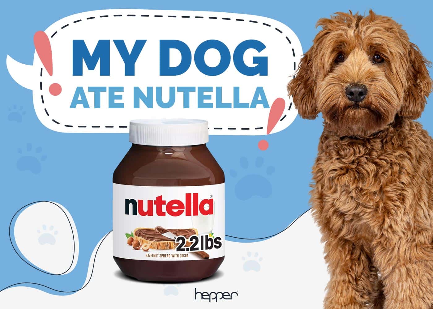 My Dog Ate Nutella: Our Vet Explains What to Do
