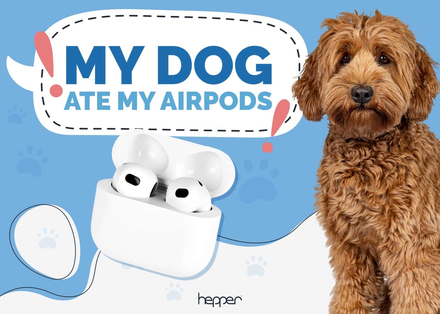 My Dog Ate My AirPods: Here's What to Do (Vet Answer)