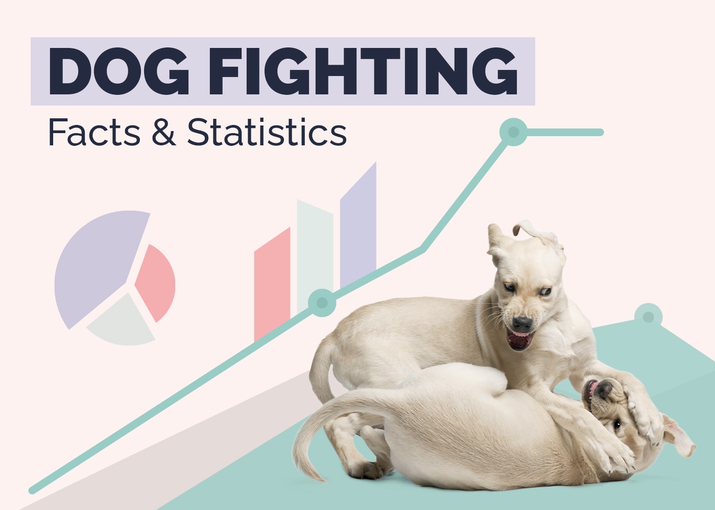 10 Shocking Dog Fighting Facts & Statistics in 2026