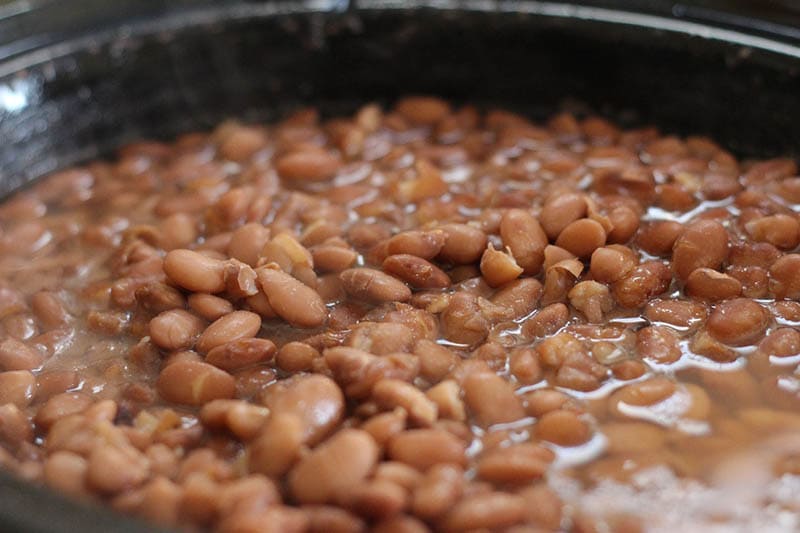 Can Dogs Eat Refried Beans? Vet-Reviewed Facts & Safety Guide